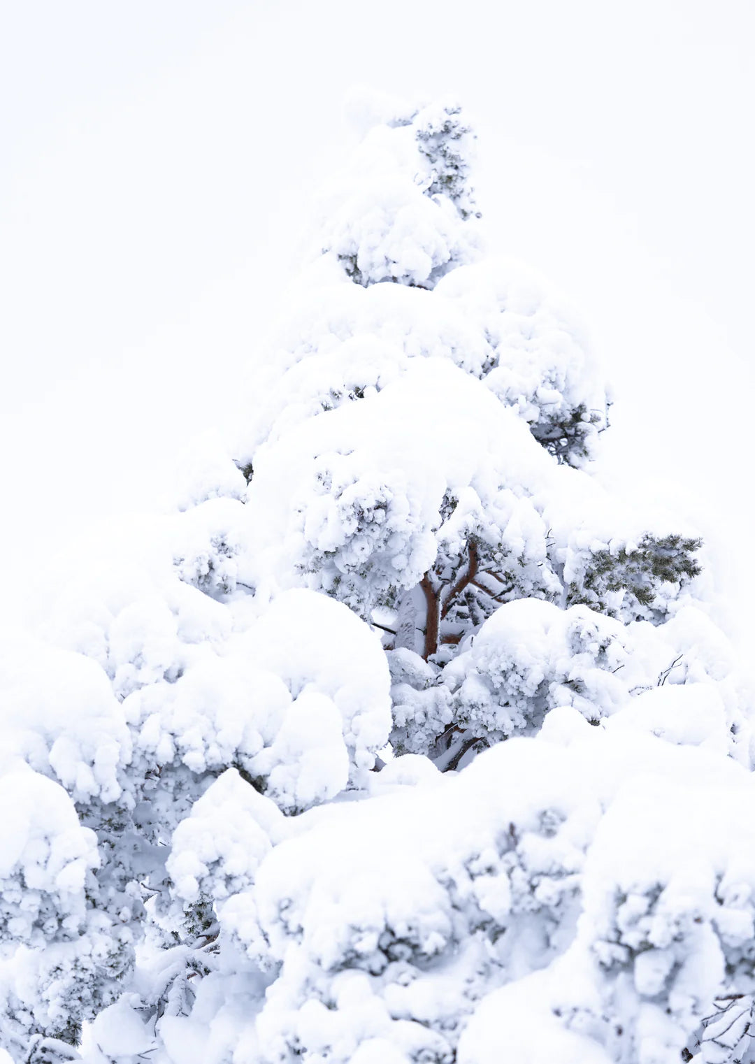 Studio Paus - box with Winter cards