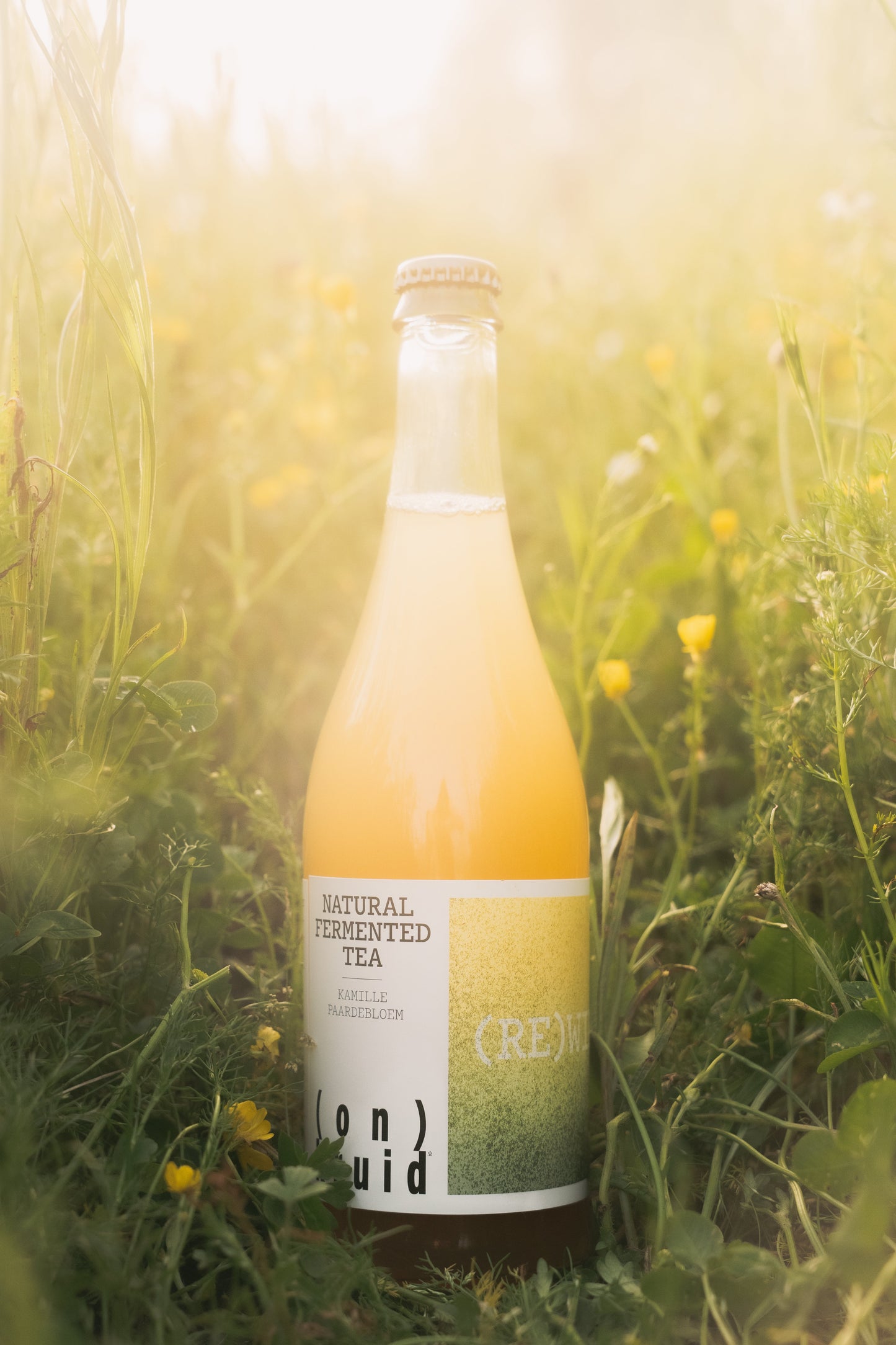 (RE)WILD Natural Fermented Tea - Kamille/Paardebloem
