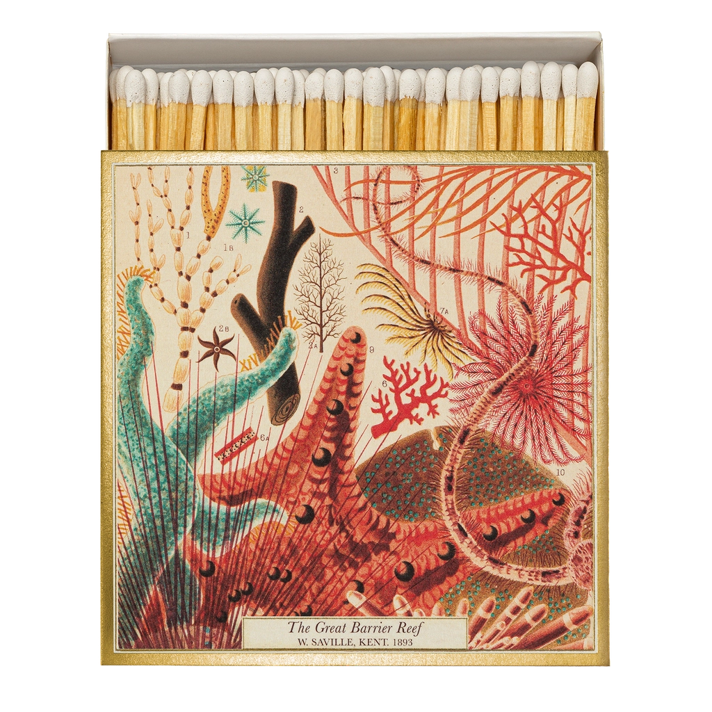 Archivist Gallery Matches - Great Barrier Reef