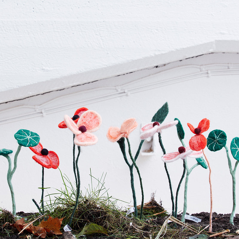 Endless Flower - Poppy Coral