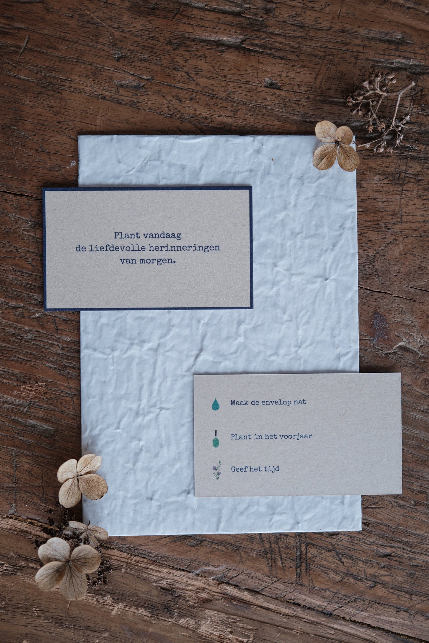 Caduc - Catherine Duchesne growing card - Via mij