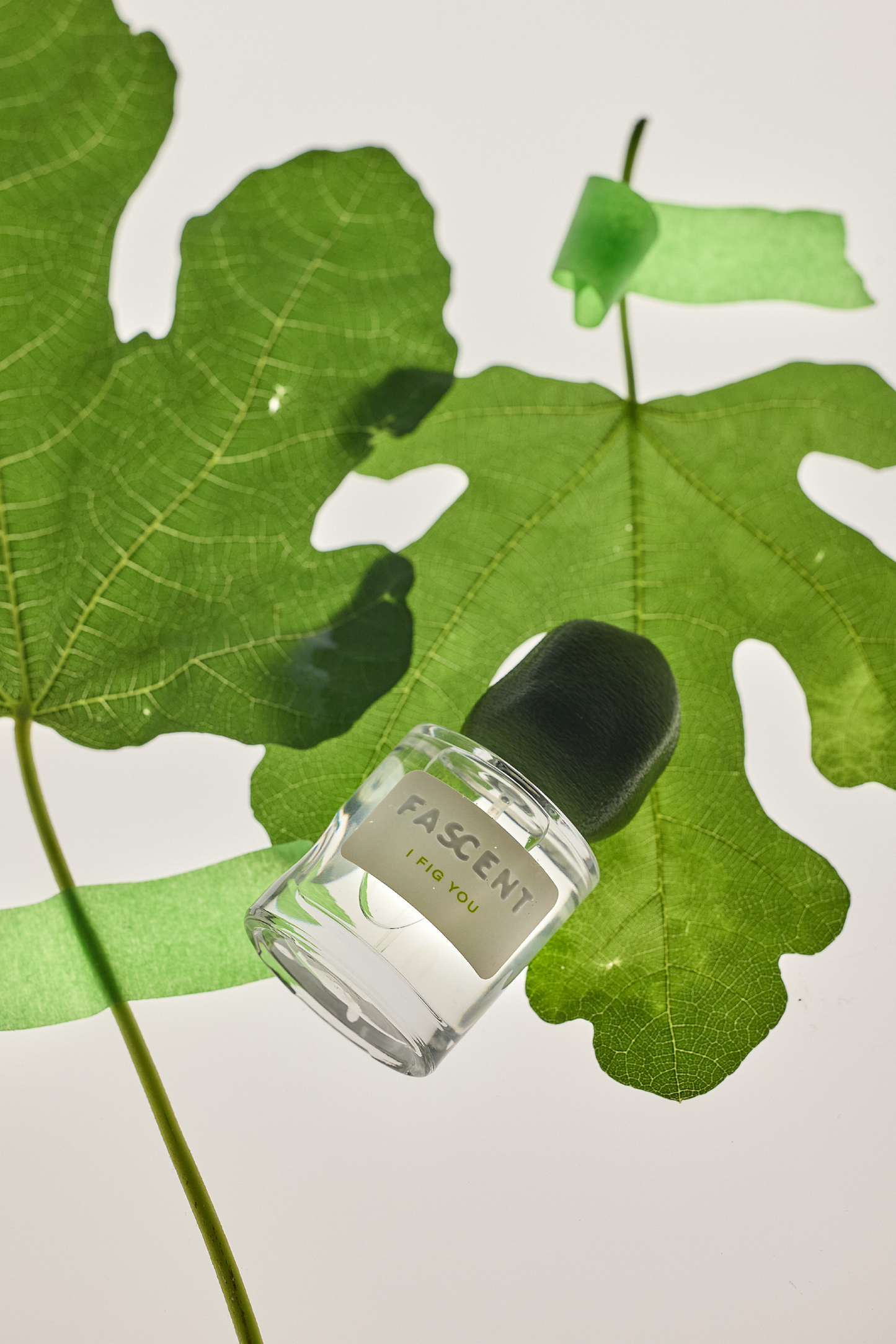 Eau de Parfum - I Fig Your