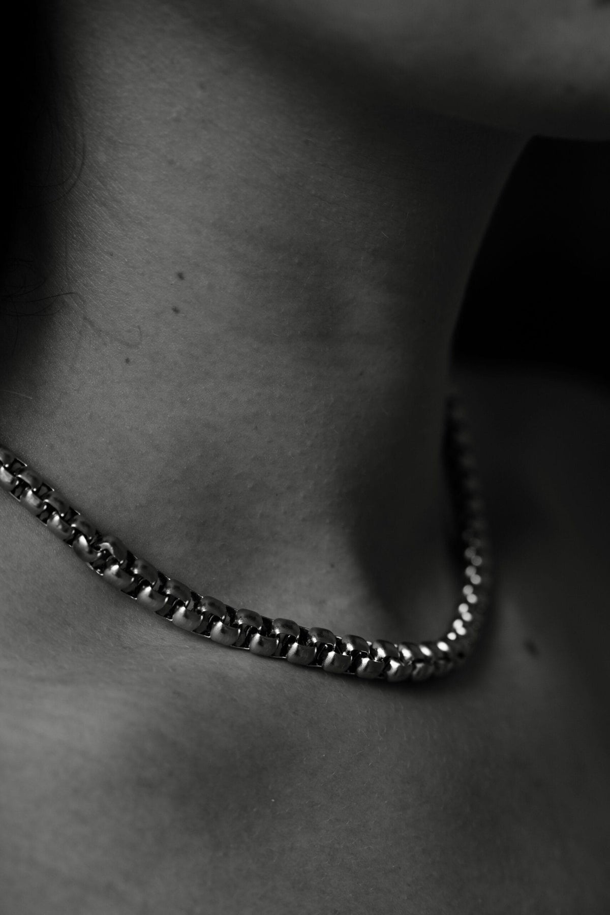 Clasp Necklace - Silver