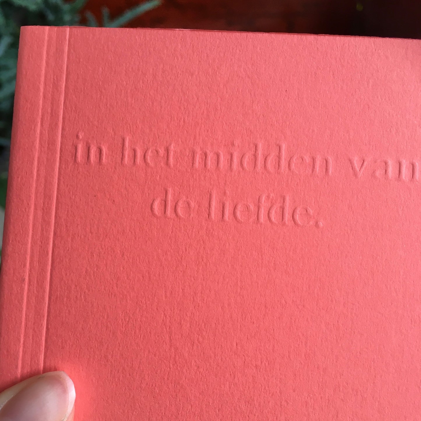 Ruth Van de steene - Bundle 'midden van liefde'