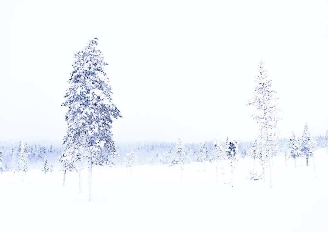 Studio Paus - box with Winter cards