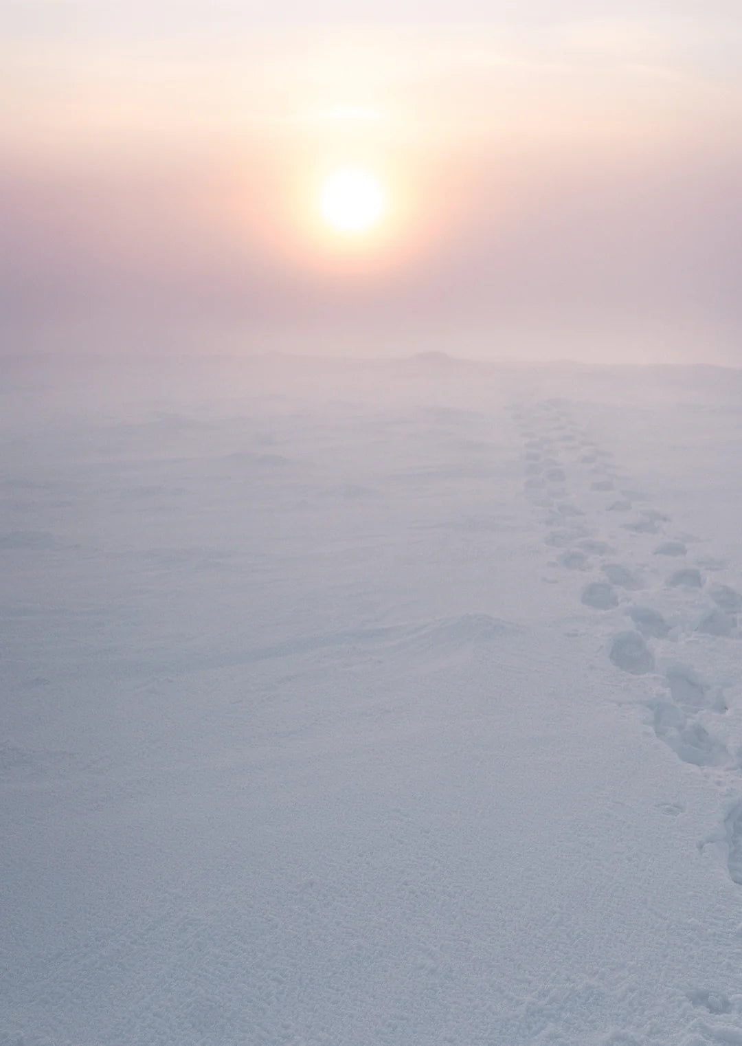 Studio Paus - box with Winter cards