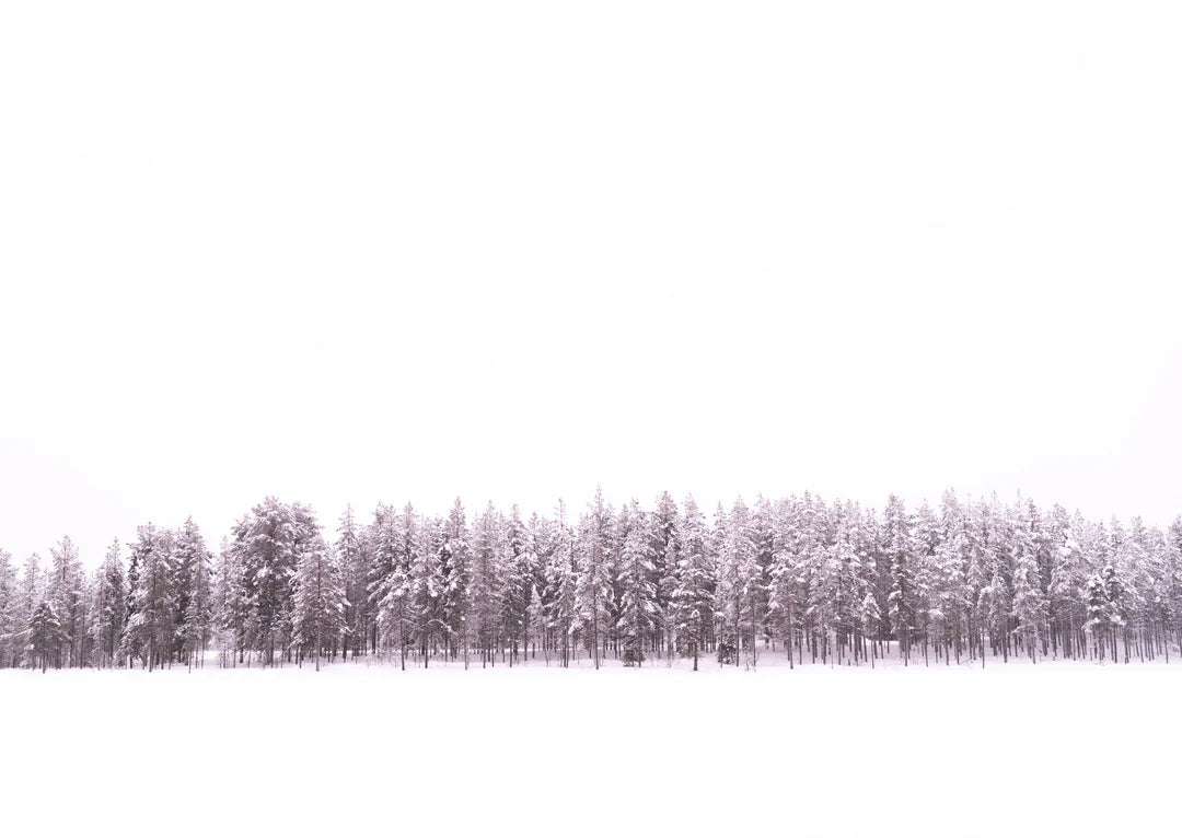 Studio Paus - box with Winter cards