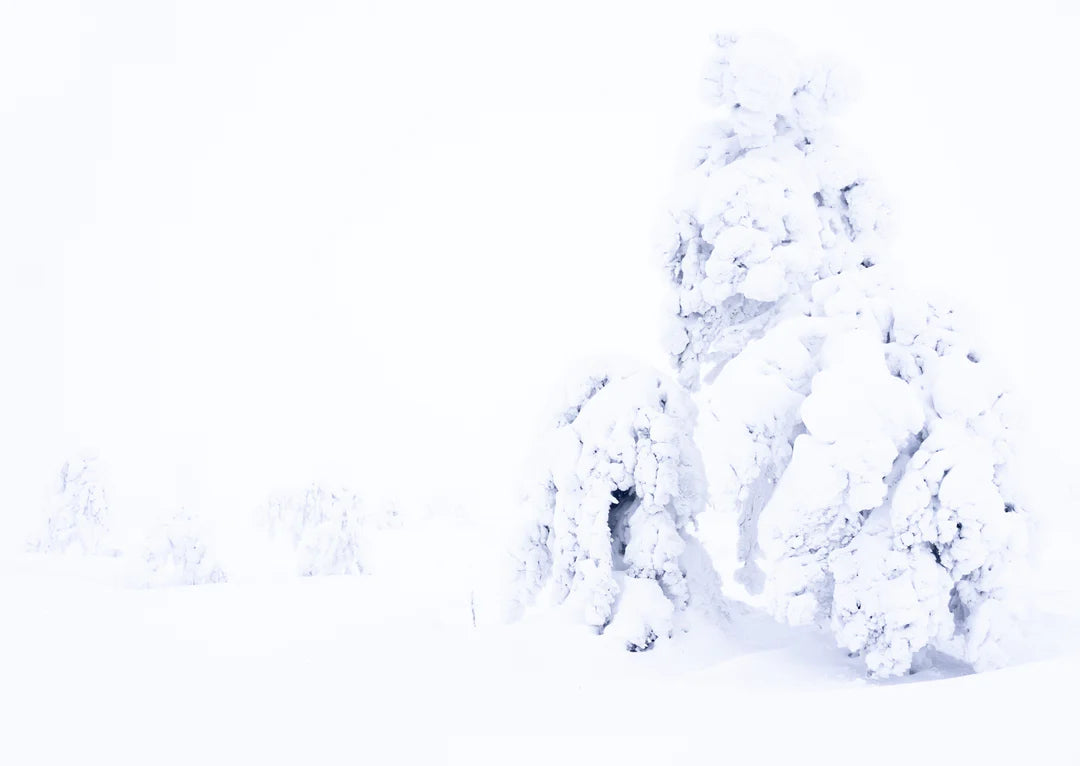 Studio Paus - box with Winter cards