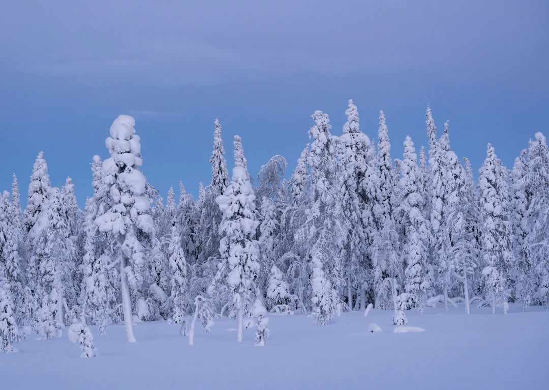 Studio Paus - box with Winter cards