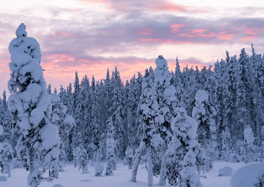 Studio Paus - box with Winter cards