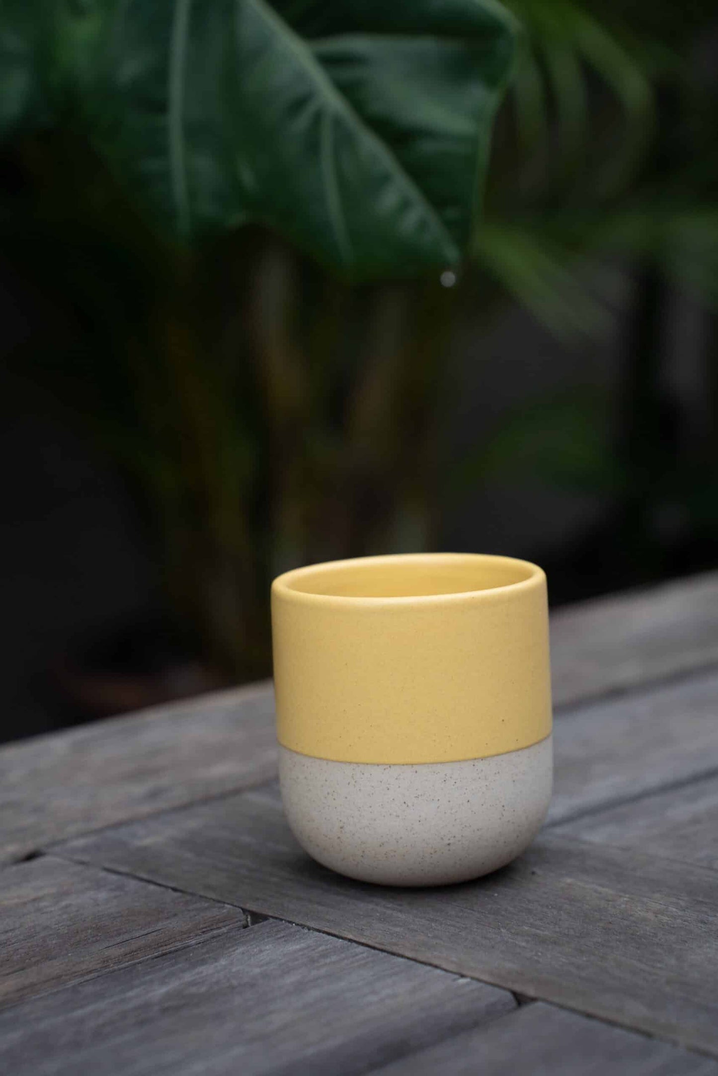 ReClay Coffee Mugs S/4 - Honey