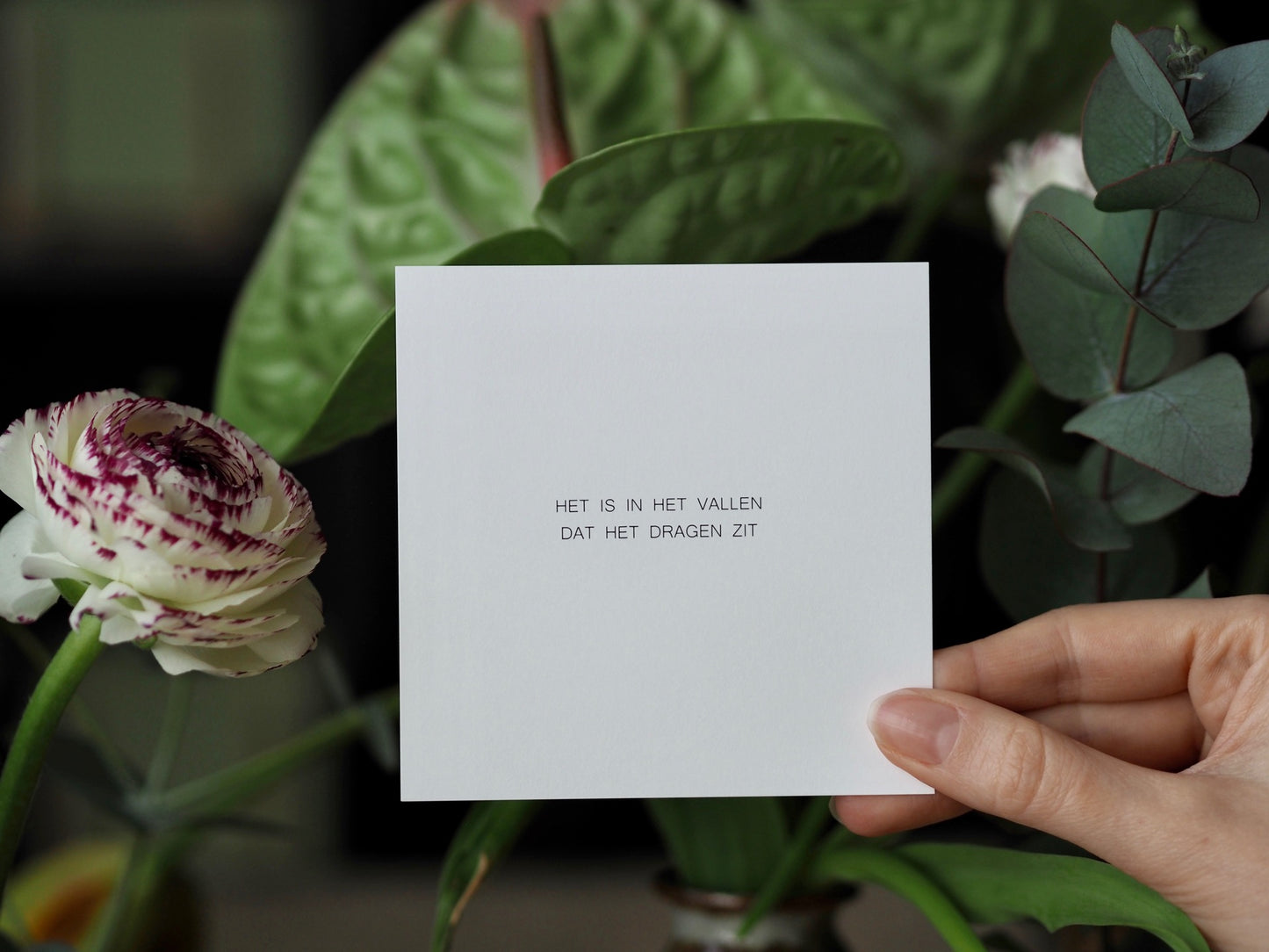 Ruth Van de steene - Box with 100 leaflets