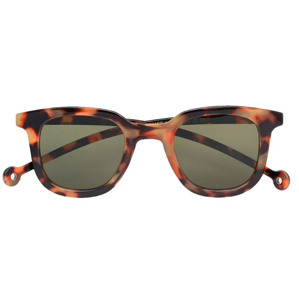 Cauce Sunglasses - Carey
