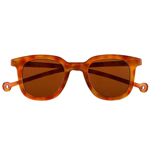 Sunglasses Cauce - Ginger Carey