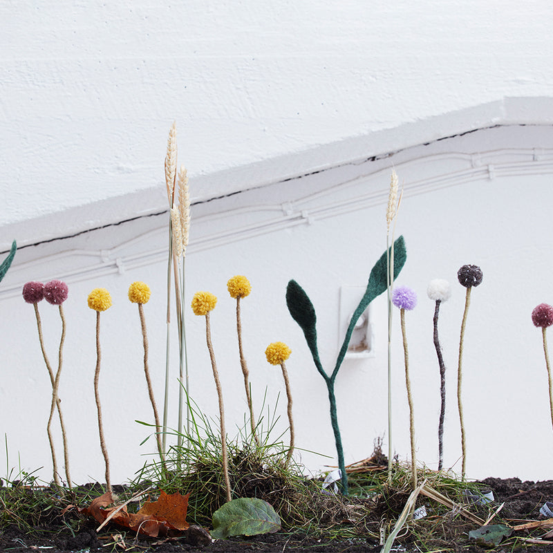 Endless Flower - Sunball Thistle