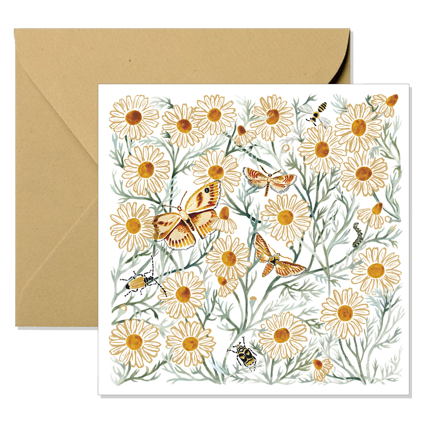 Greeting Card - Chamomile