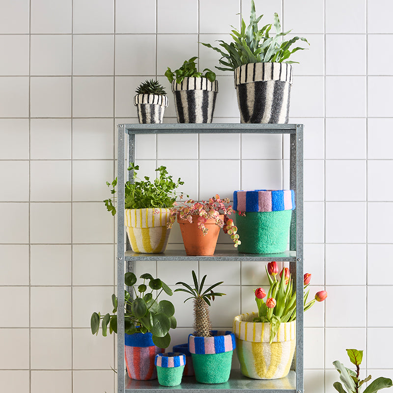 Flower Pot - The Circus