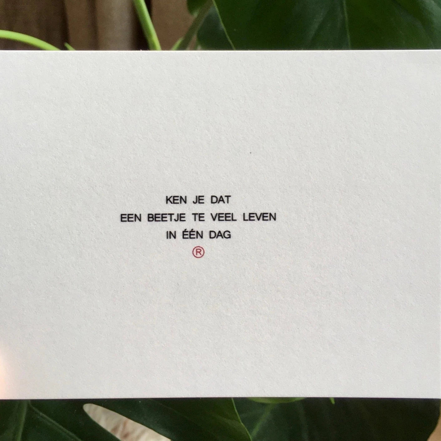 Ruth Van de steene Card #25- Teveel Leven