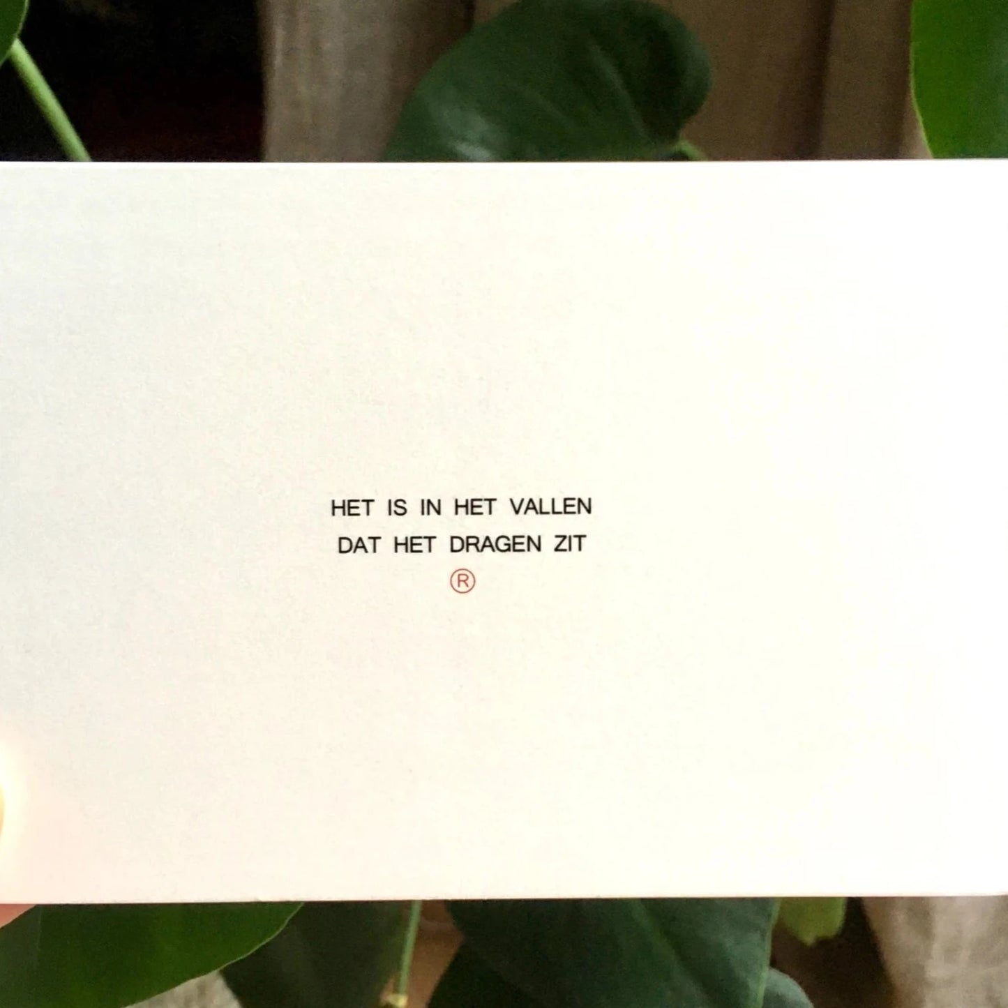 Ruth Van de steene Card #40 - Vallen Dragen