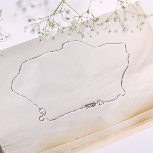 T.I.T.S Box Chain Silver