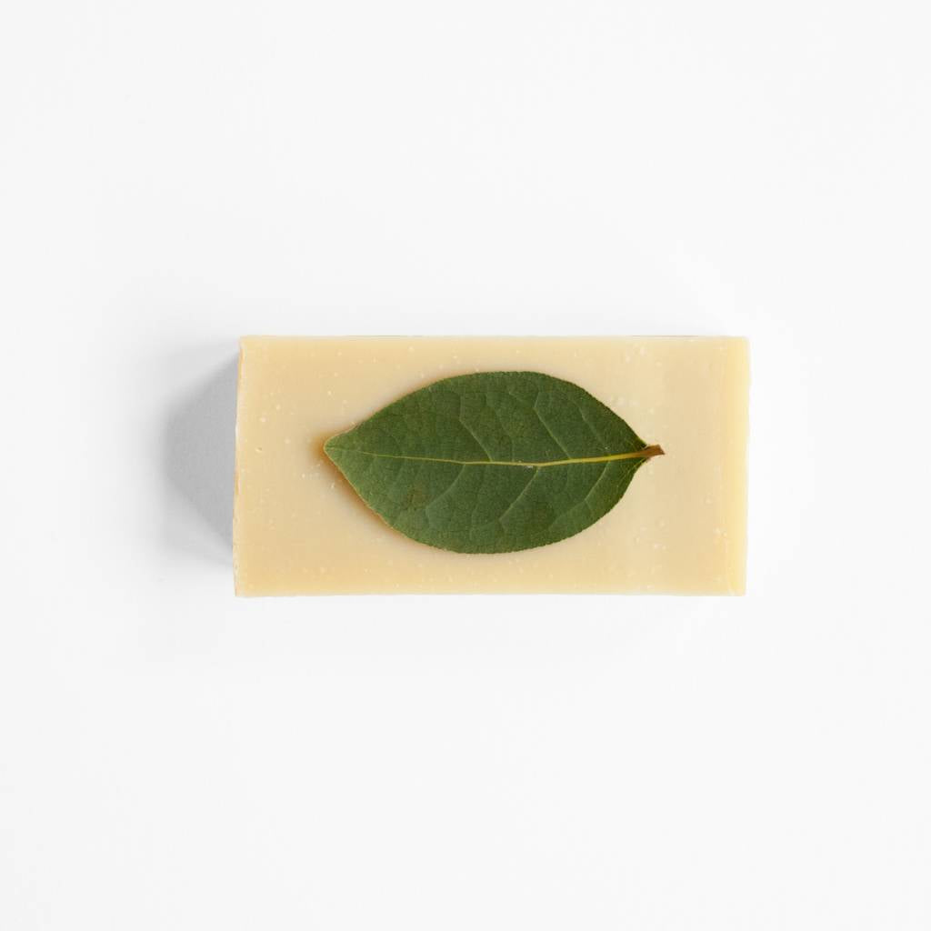 Werfzeep Shea Butter Soap
