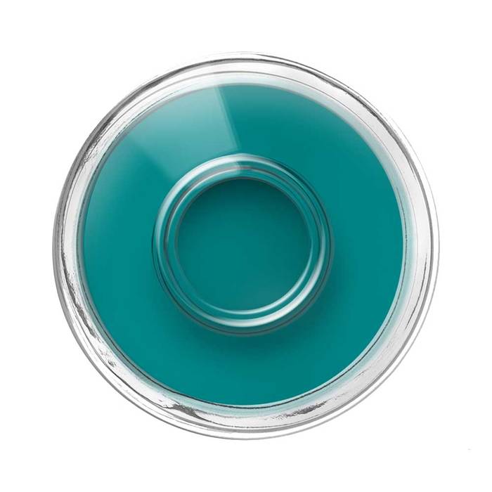 OZN Nail Polish Theresa